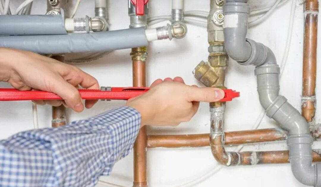 The Most Common Causes of Dripping Faucets and How a Plumber in Reading Can Fix Them